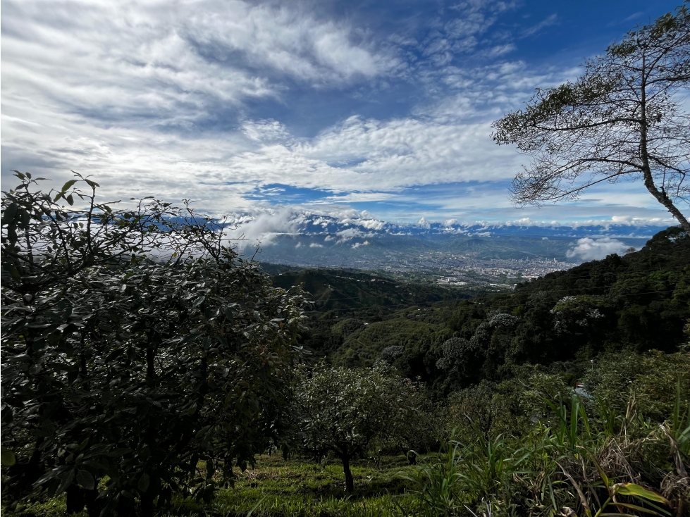 Finca en venta con vista panorámica 360° Alto del Nudo, Dosquebradas - 3