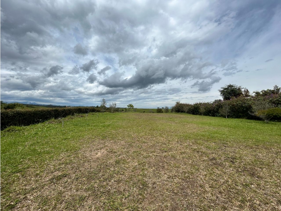 Espectacular lote en venta Vía Armenia, Pereira — foto 4