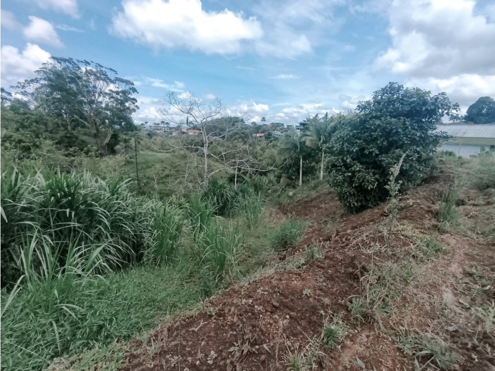 Lote en venta condina — foto 4