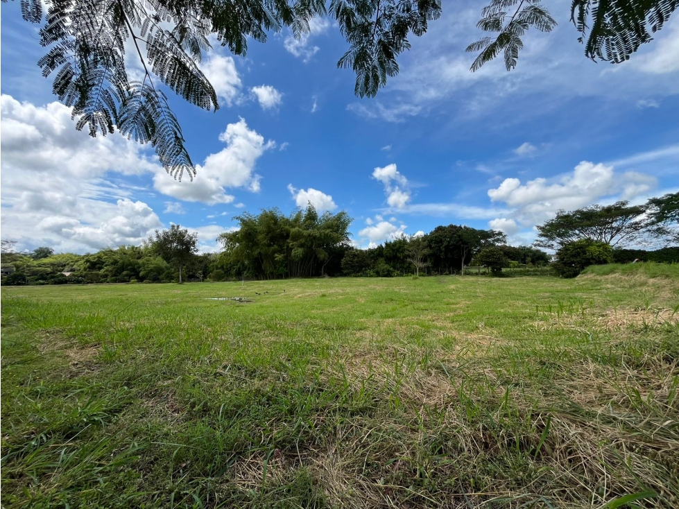 Lote en venta en Cerritos con una excelente vista — foto 4