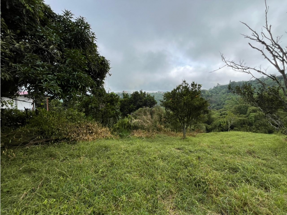 Lote en venta en Altagracia Excelente ubicación y proyección — foto 4