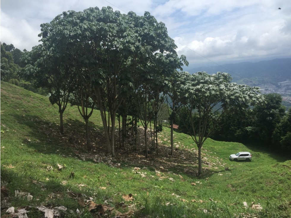 Lote en venta Los Nieblos Pereira — foto 4