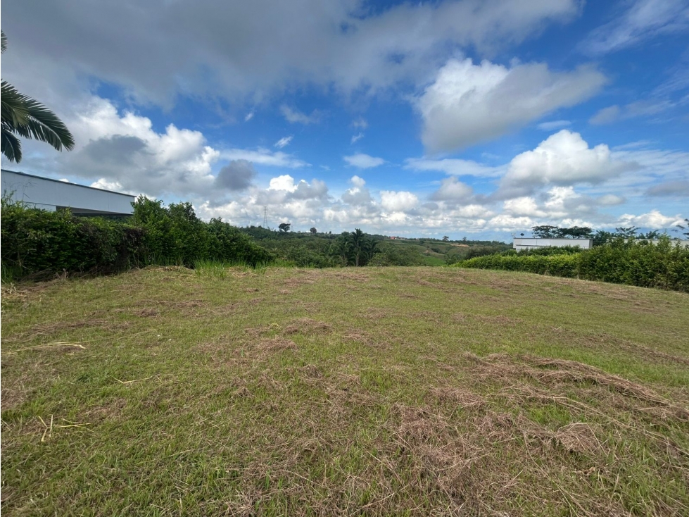 Lote campestre en venta en cerritos Pereira — foto 4