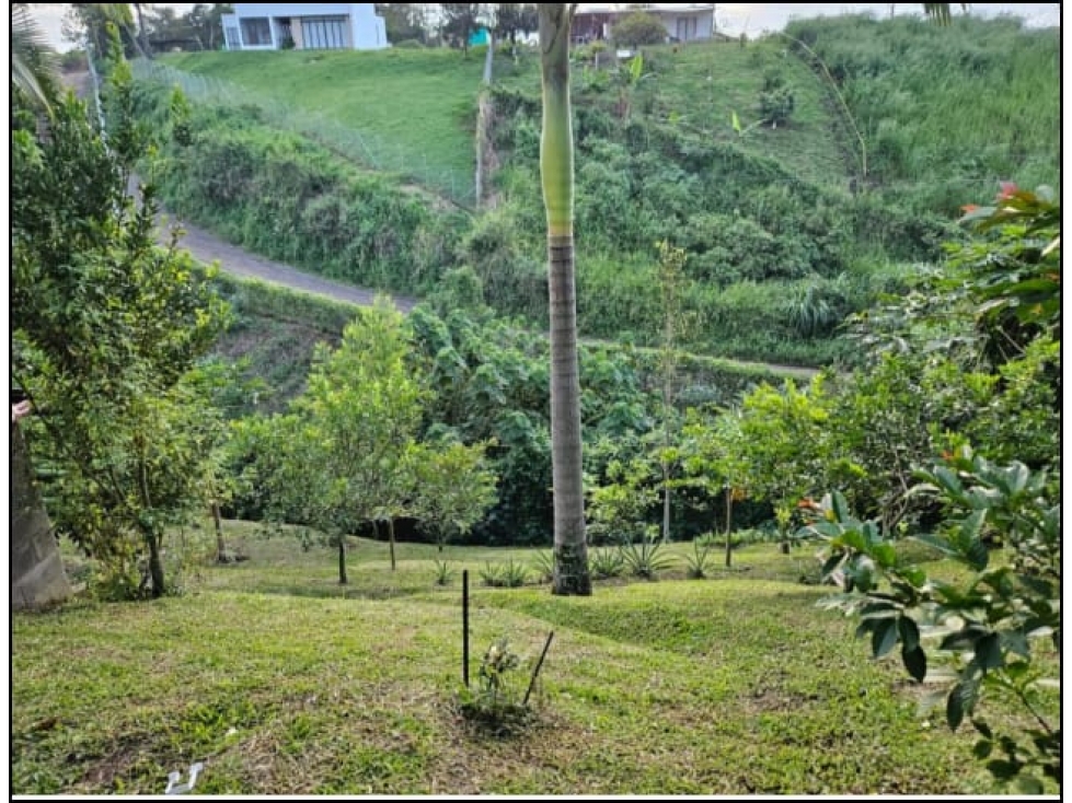 Casa Campestre en Venta en Combia, Pereira — foto 5