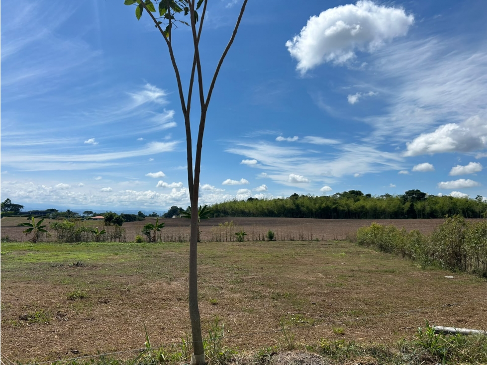 LOTE CAMPESTRE EN VENTA EN CERRITOS, PEREIRA — foto 4