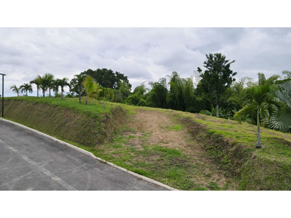 Lote en Venta cerca del Aeropuerto El Edén - 5