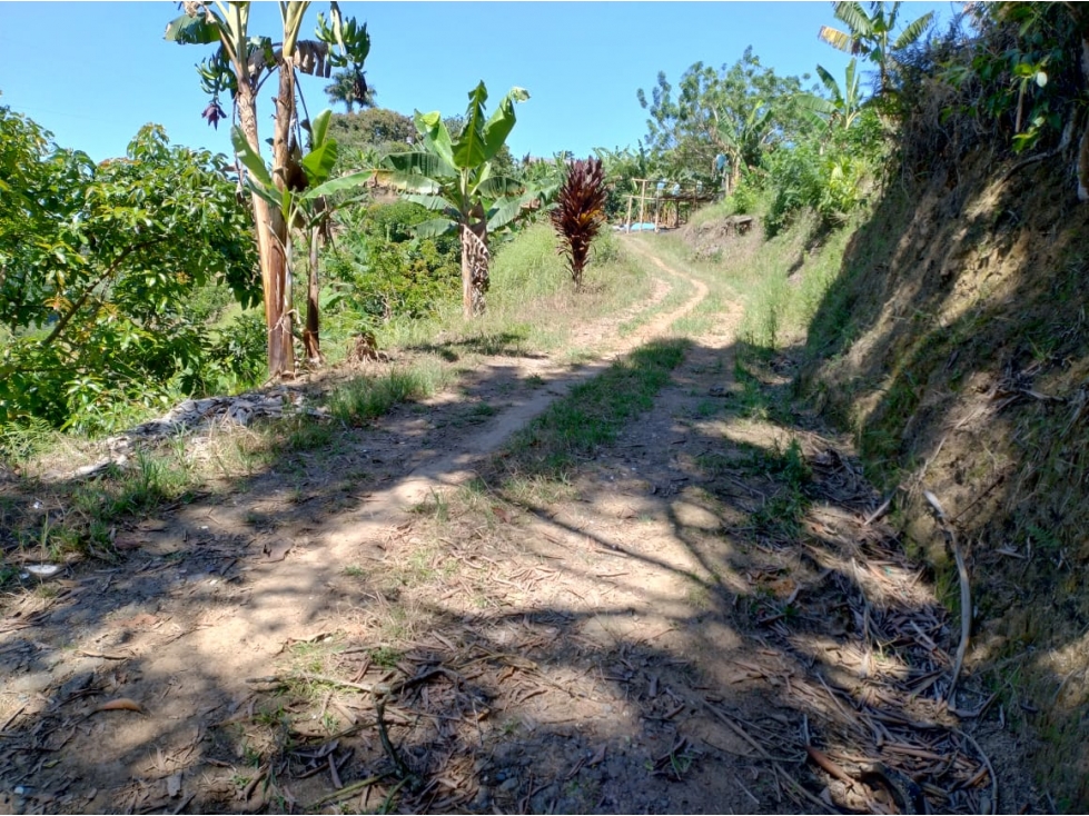 Venta de Finca a 30 Minutos de Pereira, Vía Crucero de Combia — foto 6