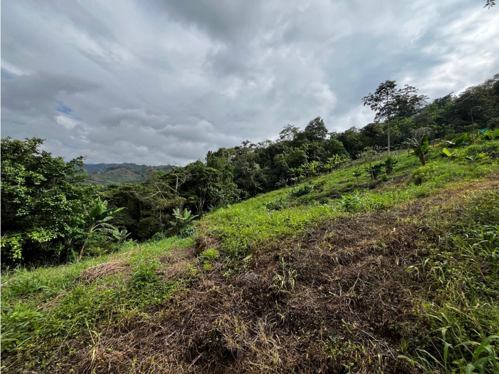 Finca en Venta Corregimiento de La Florida, Pereira — foto 5