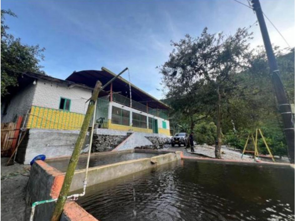 Finca en Venta Génova, Quindío - 5