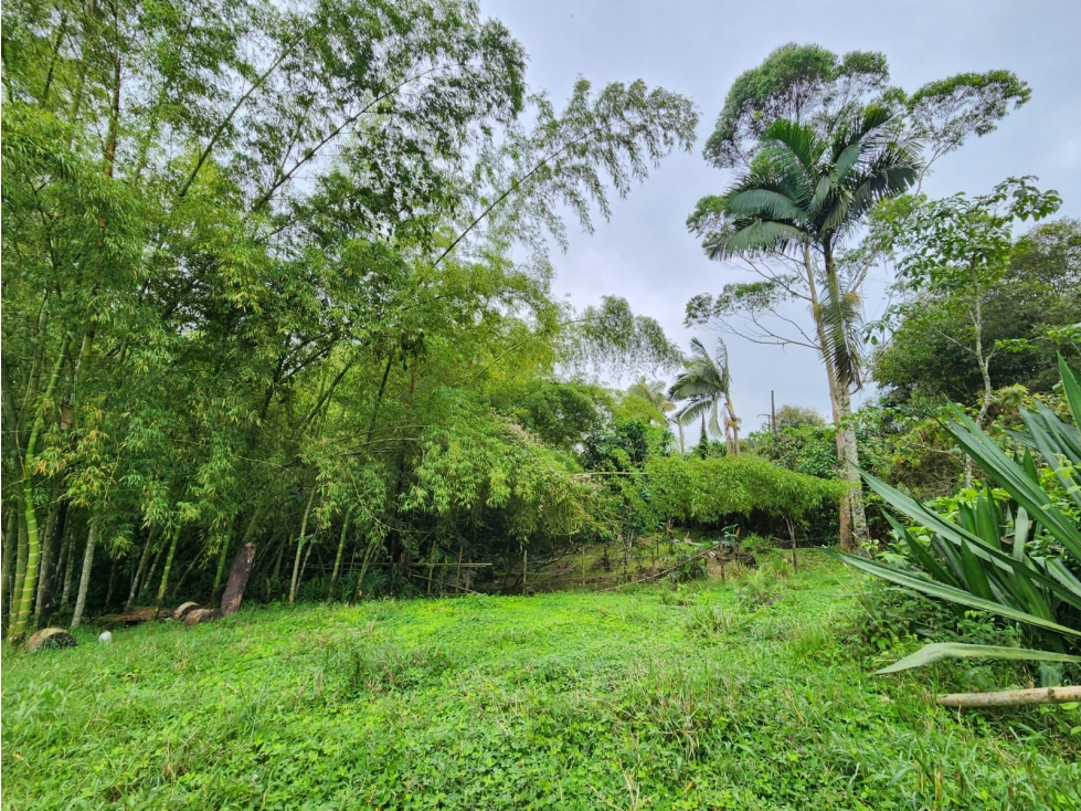 lote en venta con topografía plana y recursos hídricos naturales - 5