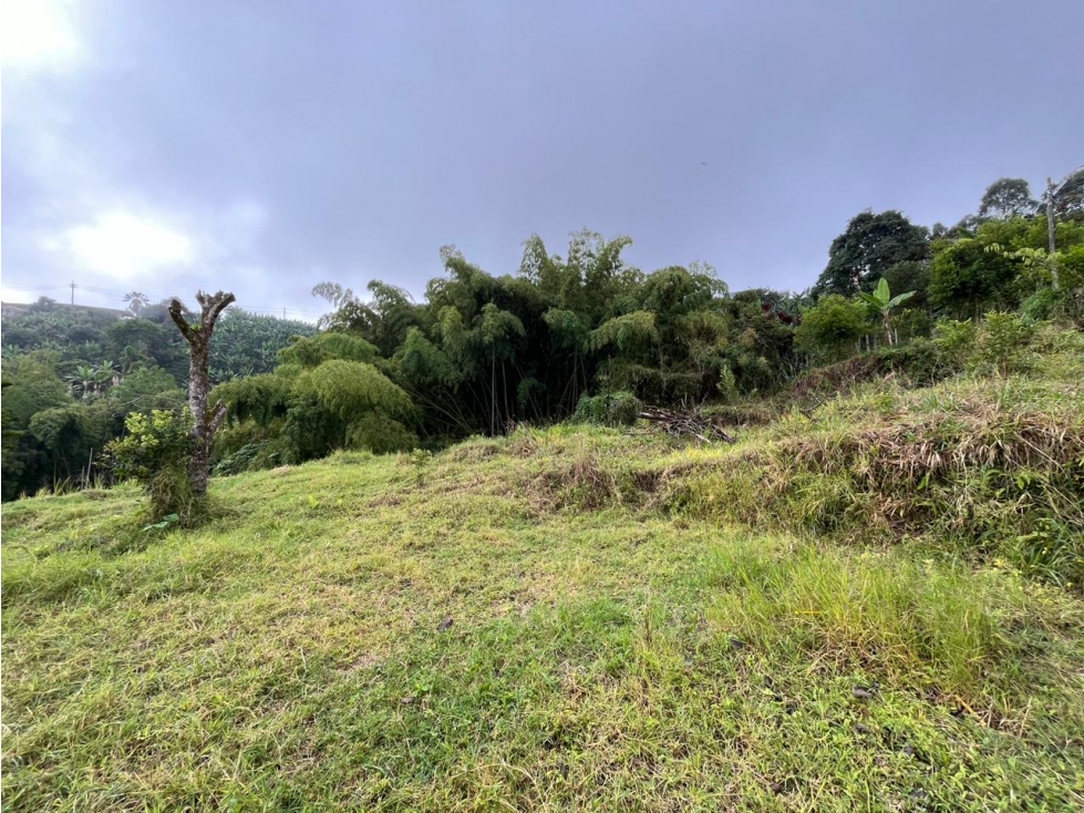 Lote en venta en Altagracia Excelente ubicación y proyección — foto 5