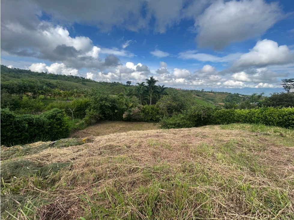 Lote campestre en venta en cerritos Pereira — foto 5
