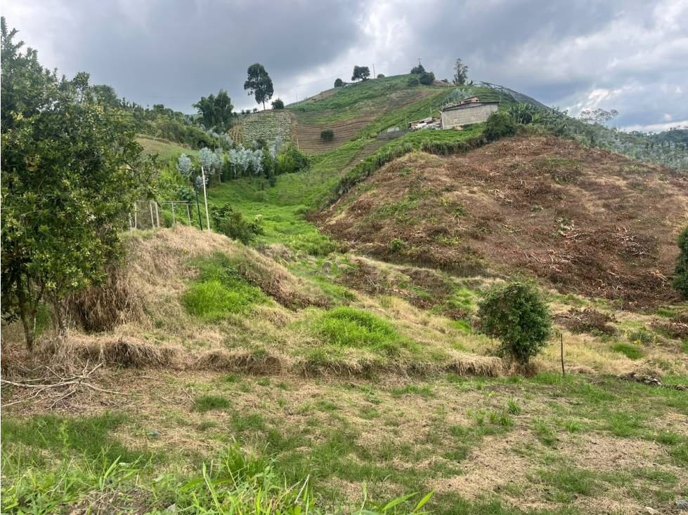 Lote en venta en La Bella, Pereira — foto 5