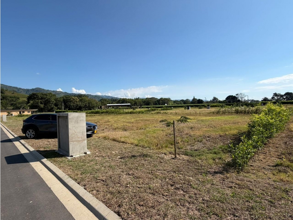 LOTE EN VENTA EN VITERBO, CALDAS - 5