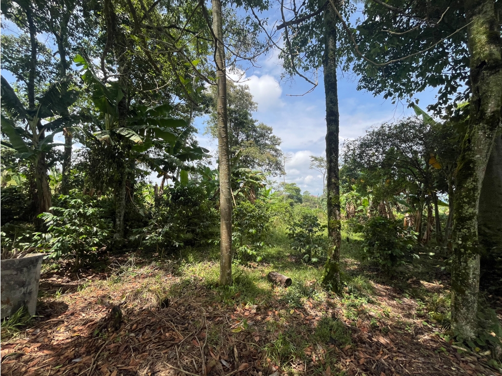 LOTE EN VENTA EN ALTAGRACIA PEREIRA — foto 5