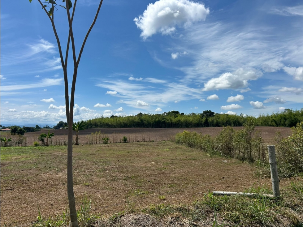 LOTE CAMPESTRE EN VENTA EN CERRITOS, PEREIRA — foto 5