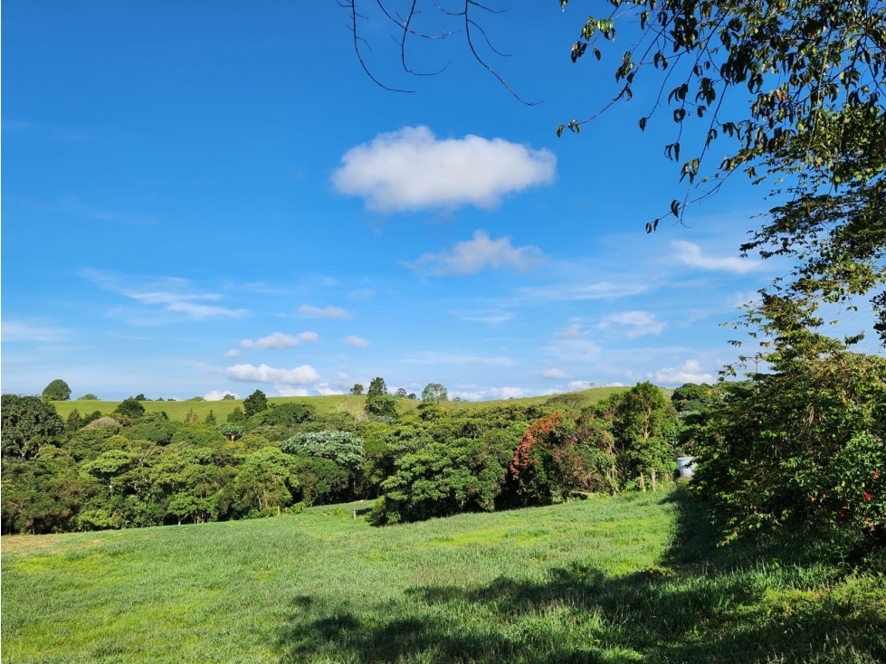 LOTE EN VENTA EN FILANDIA - 6