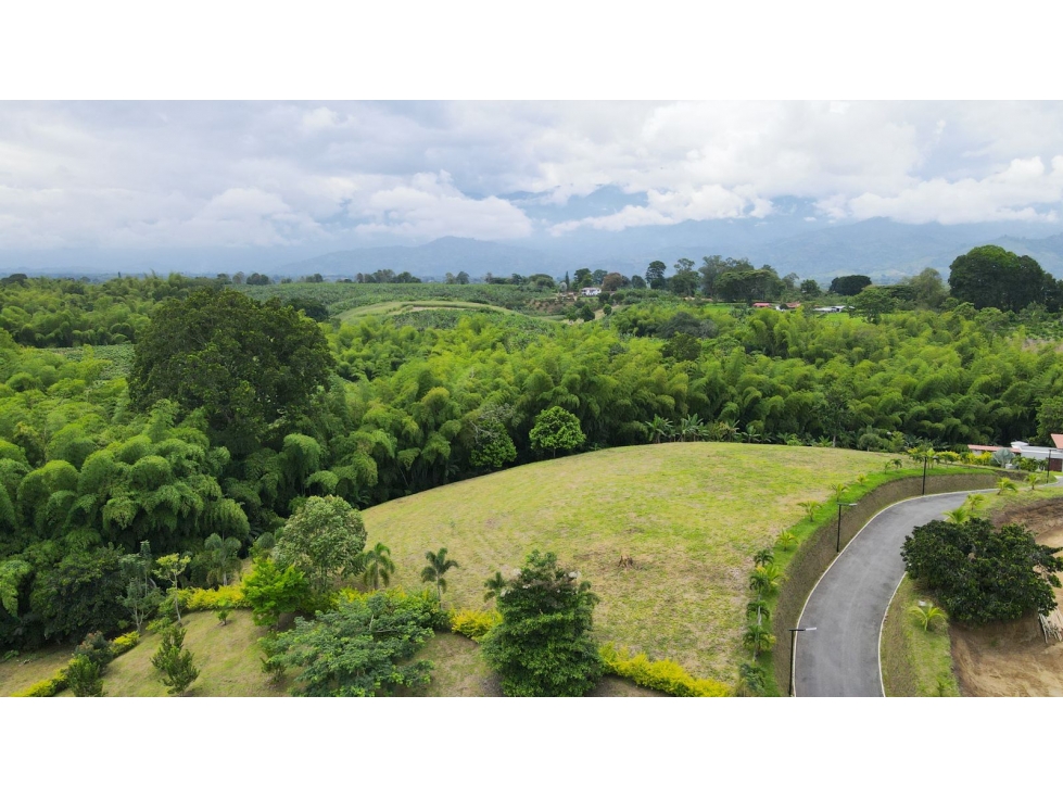 Lote en Venta cerca del Aeropuerto El Edén - 6