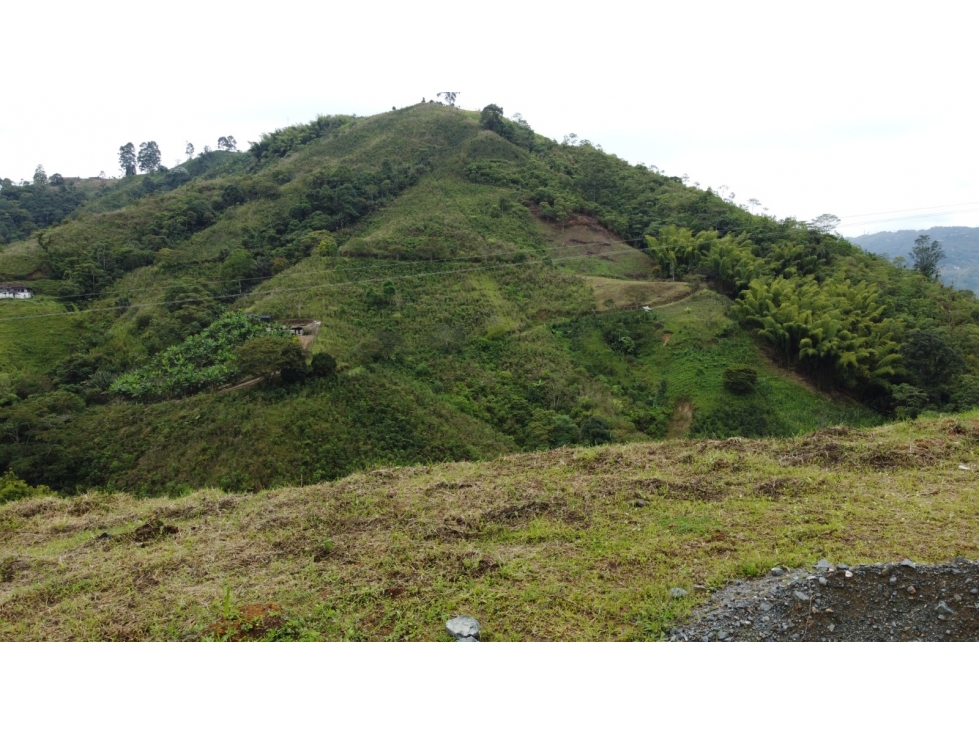 A la venta espectacular lote campestre en Santa Rosa de Cabal - 6