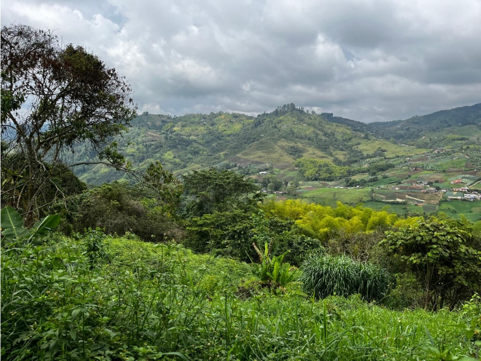 Finca en Venta Corregimiento de La Florida, Pereira — foto 6