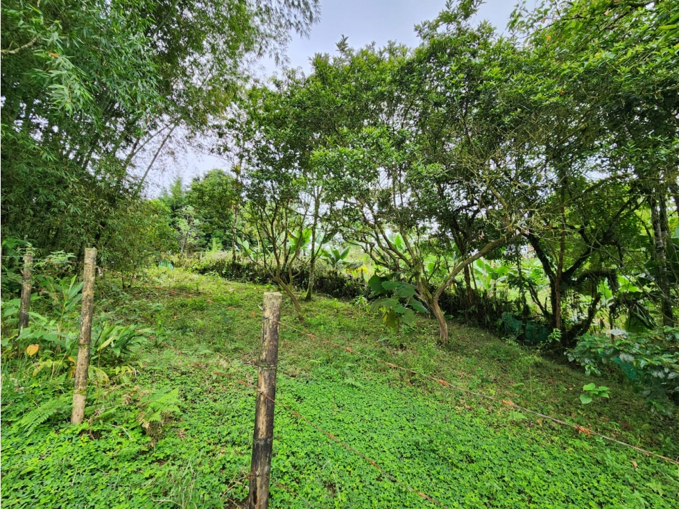 lote en venta con topografía plana y recursos hídricos naturales - 6