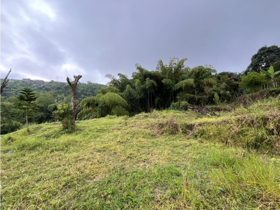 Lote en venta en Altagracia Excelente ubicación y proyección — foto 6