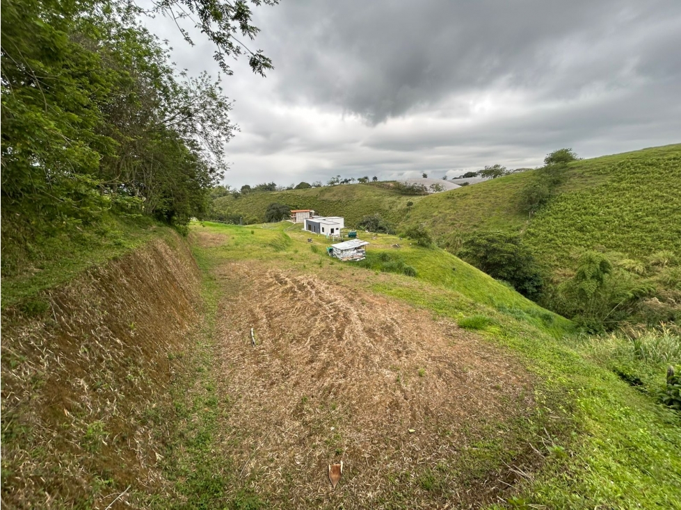 Lote Campestre Esquinero en Venta: Vía Altagracia Condina — foto 6
