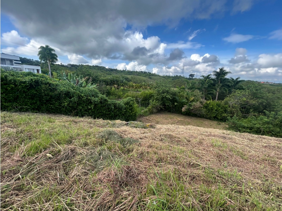 Lote campestre en venta en cerritos Pereira — foto 6