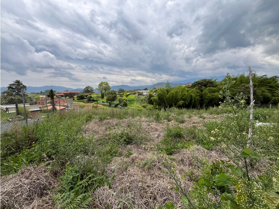 Lote en venta vía Armenia — foto 6