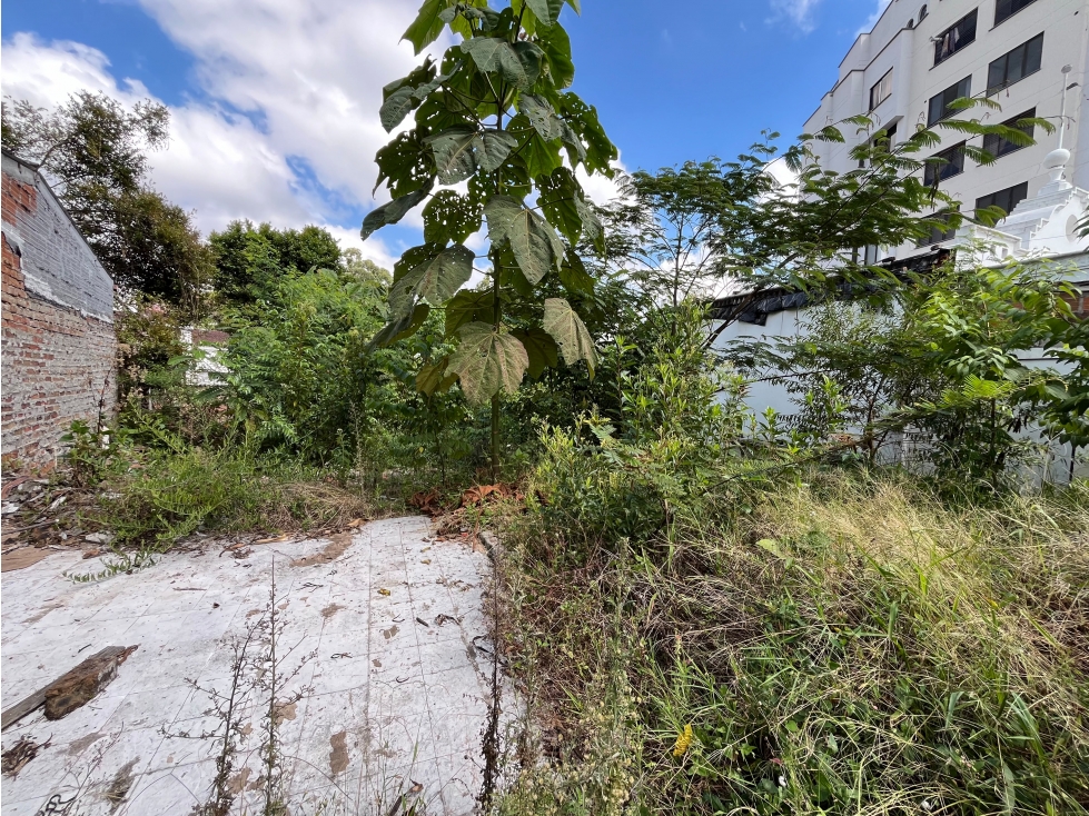 Lote en venta Alamos Pereira — foto 6