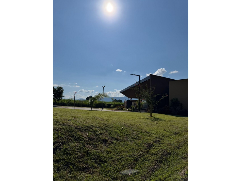 LOTE EN VENTA EN VITERBO, CALDAS - 6
