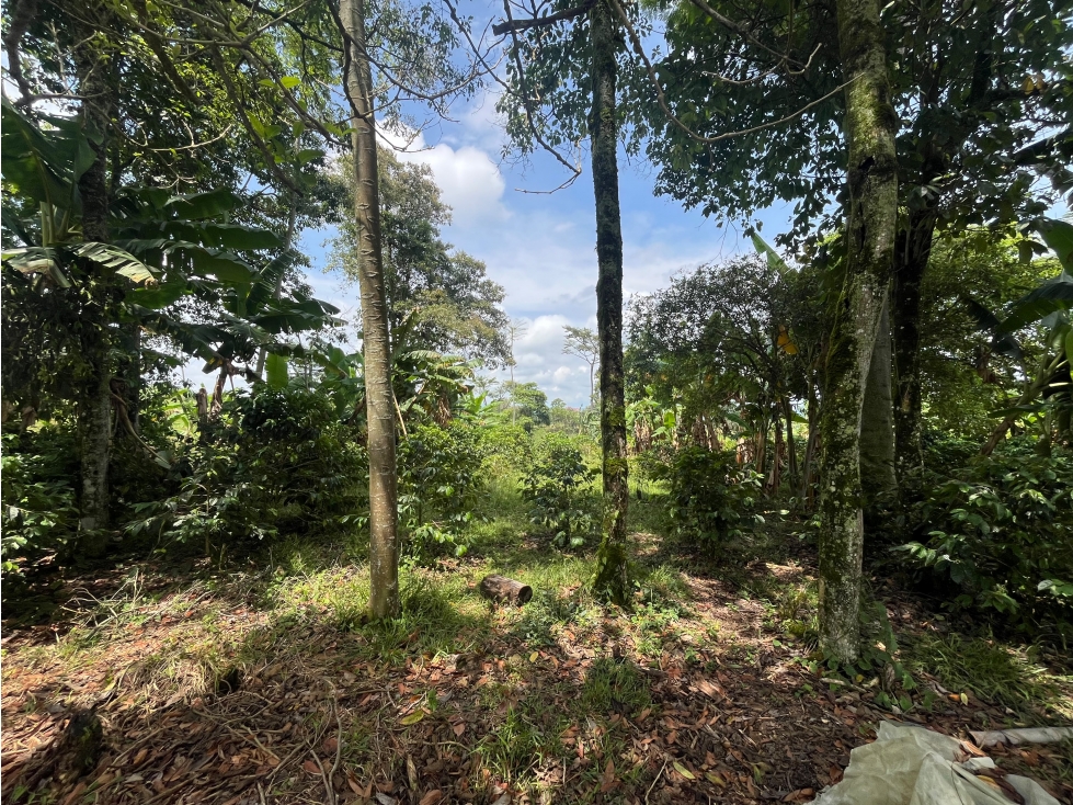 LOTE EN VENTA EN ALTAGRACIA PEREIRA — foto 6