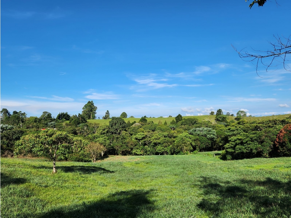LOTE EN VENTA EN FILANDIA - 4