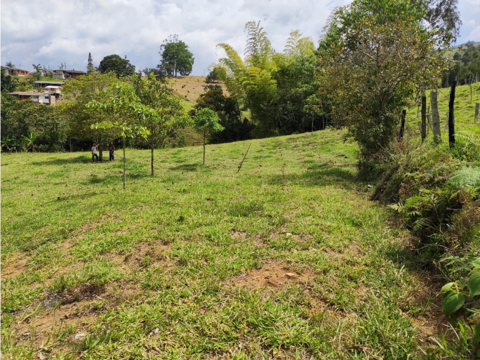 Lote Jerico antioquia - 1