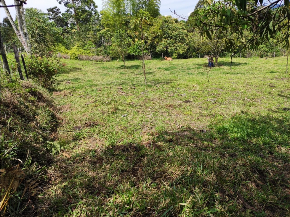 Lote Jerico antioquia - 2