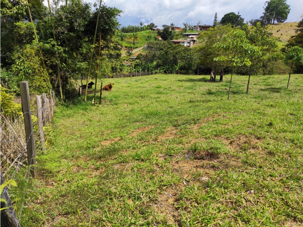 Lote Jerico antioquia - 3
