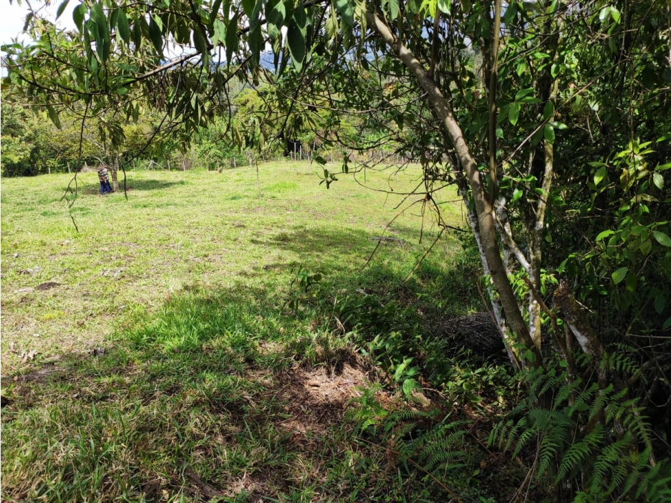 Lote Jerico antioquia - 4