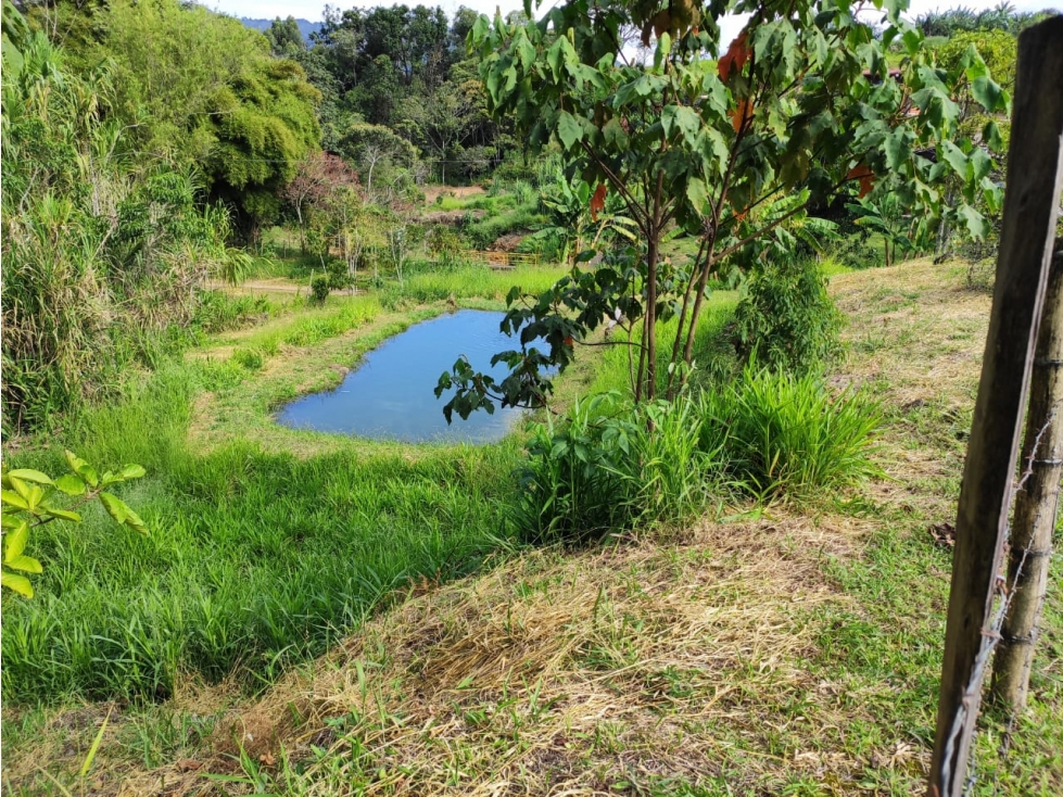Lote Jerico antioquia - 5