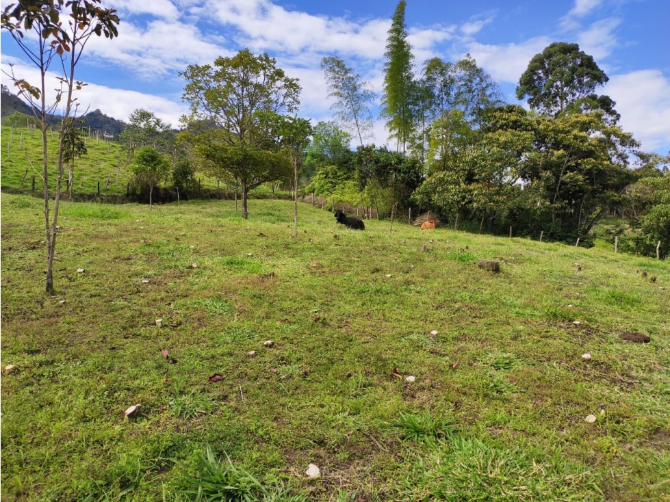Lote Jerico antioquia - 6