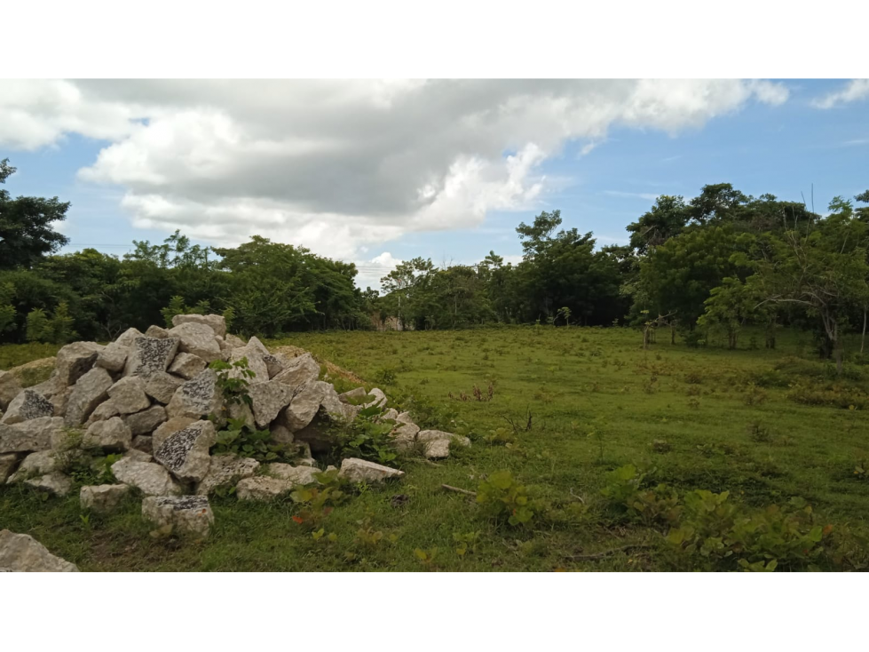 VENTA DE LOTES MAMONAL ZONA INDUSTRIAL BOLÍVAR CARTAGENA