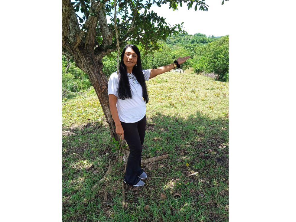 VENTA DE LOTES MAMONAL ZONA INDUSTRIAL BOLÍVAR CARTAGENA — foto 4