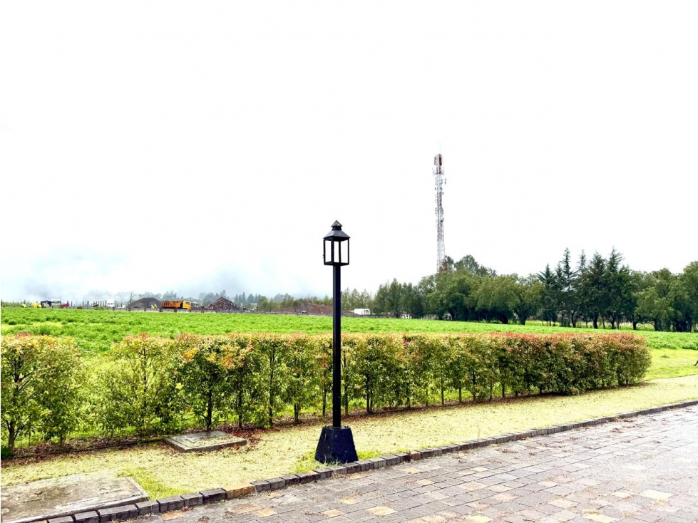 TERRENO EN VENTA EN CHECA, EN URBANIZACION PRIVADA LA MARTINA — foto 4