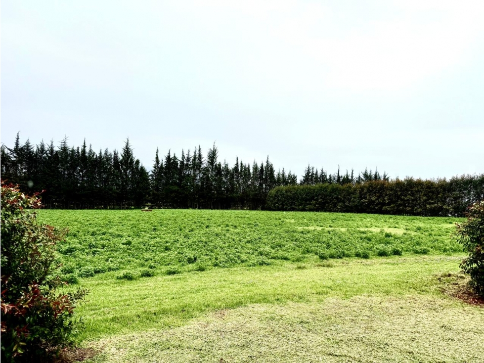 TERRENO EN VENTA EN CHECA, EN URBANIZACION PRIVADA LA MARTINA — foto 5