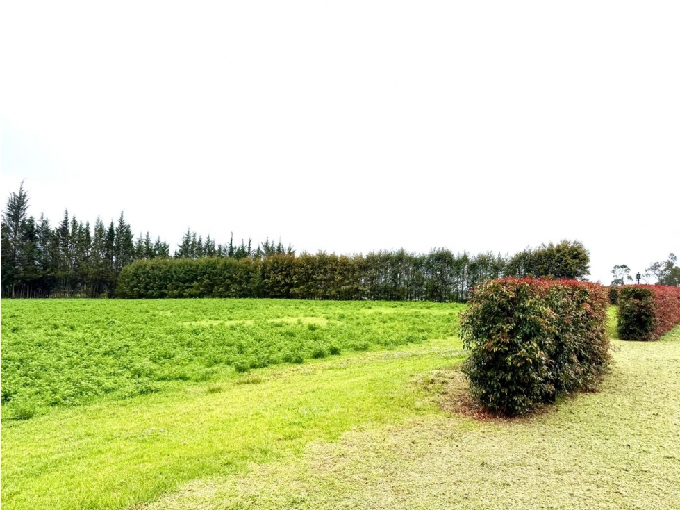 TERRENO EN VENTA EN CHECA, EN URBANIZACION PRIVADA LA MARTINA — foto 6