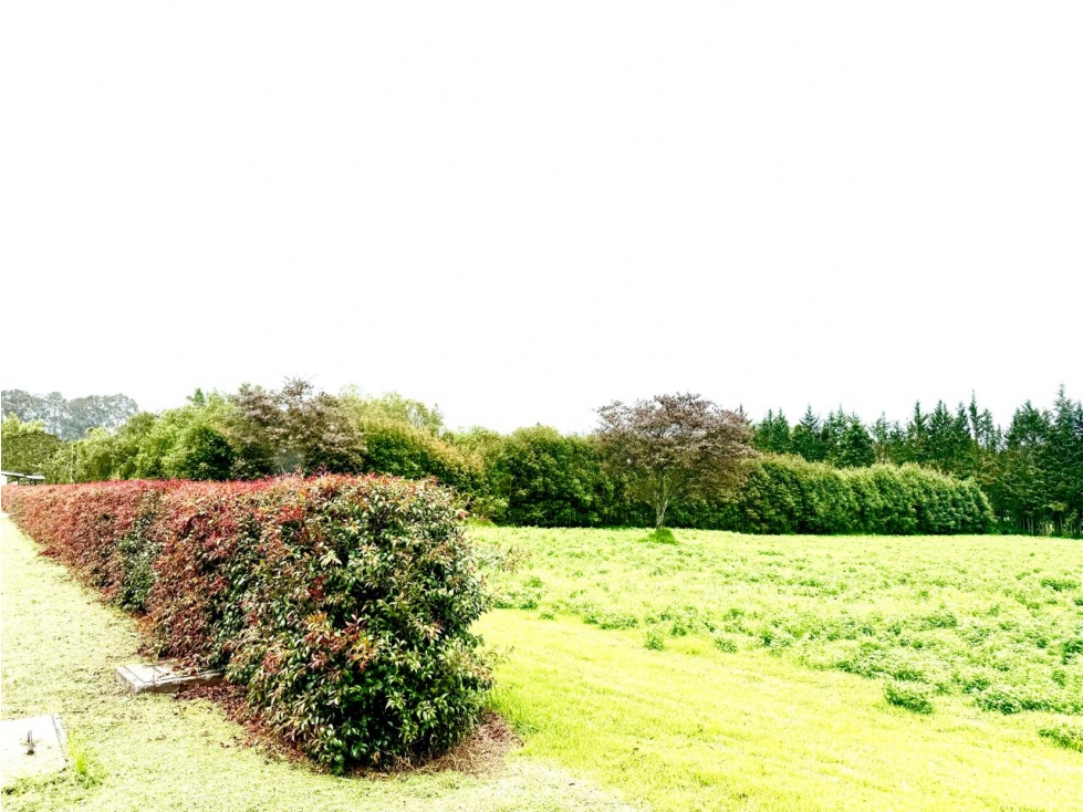 TERRENO EN VENTA EN CHECA, EN URBANIZACION PRIVADA LA MARTINA — foto 2