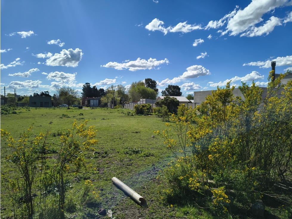 Excepcional lote en Venta - Zona El Tropezón - Tandil - 5