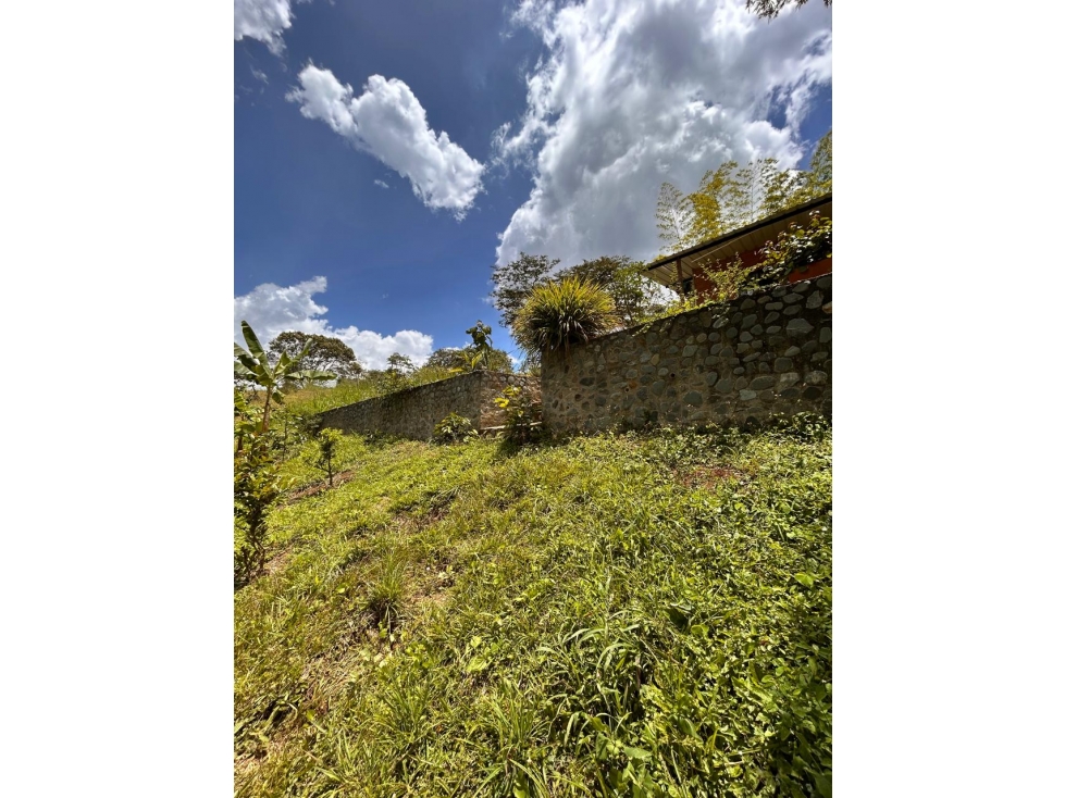 VENTA FINCA EN BORRERO AYERBE VEREDA PUEBLO NUEVO -DAGUA — foto 4