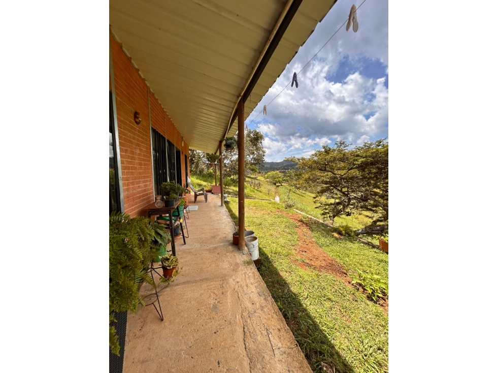 VENTA FINCA EN BORRERO AYERBE VEREDA PUEBLO NUEVO -DAGUA — foto 5