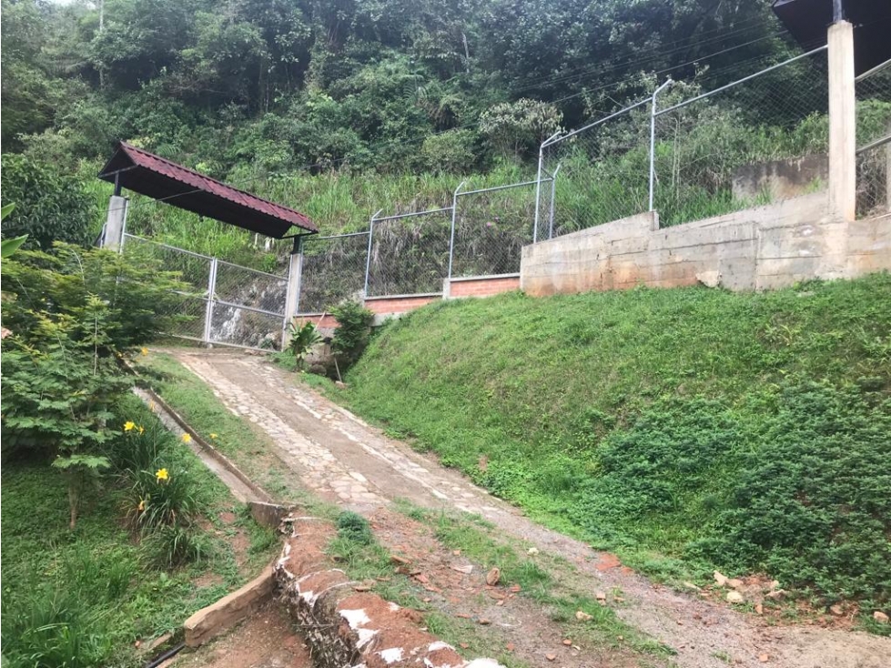 FINCA PRODUCTIVA EN VENTA VIA A CRISTO REY CORREGIMIENTO LA ALDEA — foto 6