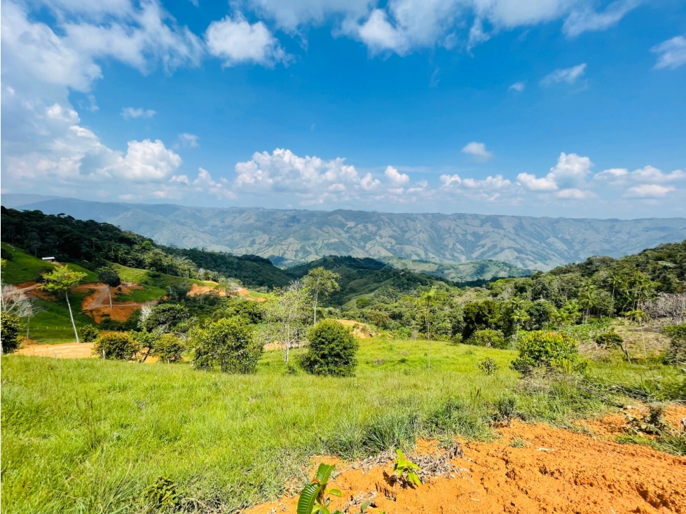Vendo lote en San Roque, Antioquia. - 6